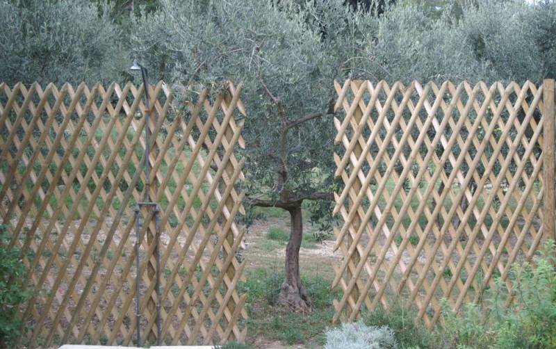 clôture en croisillon en pin traité et douche exterieure